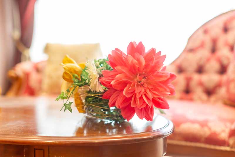 平成29年度クリスマス・お正月コンテスト結果発表（施設サービス部門）