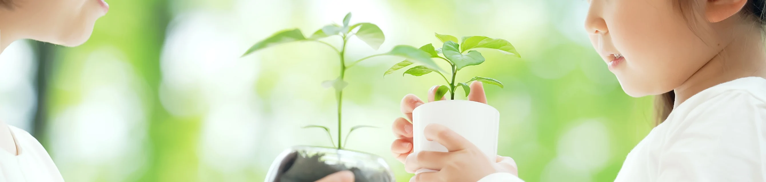 SDGsヘッドライン画像